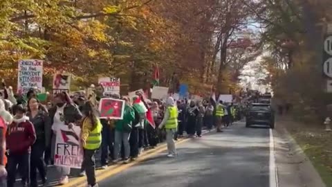 Now: Hundreds of pro-Palestine protesters march towards Biden's Delaware home