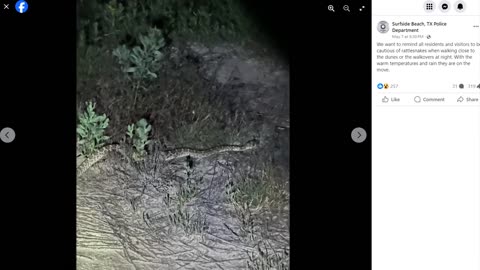 Texas: Beware of snakes on the beach! Rattlers like the dunes