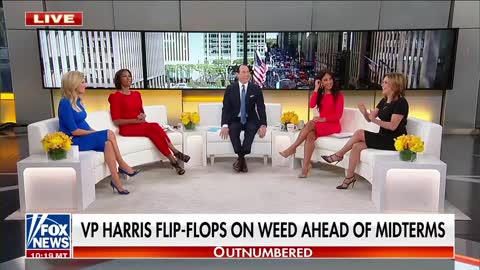 Kayleigh McEnany roasts Kamala Harris: 'Hello pot, meet kettle'