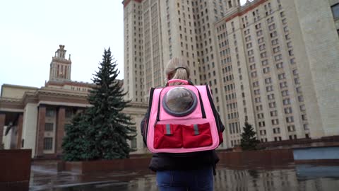 Hosico and pink backpack