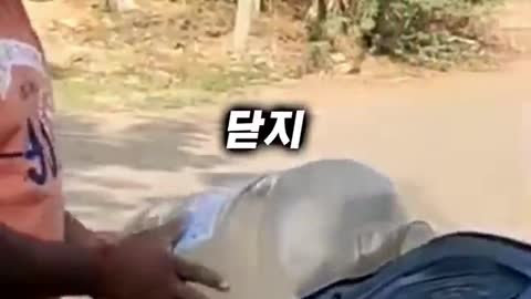 코브라를 잡기 위해 이 남자가 선택한 것…ㄷ