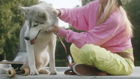 DOG TRAINING FUNDAMENTALS