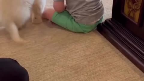 cute baby & dog