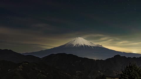 Nature in night