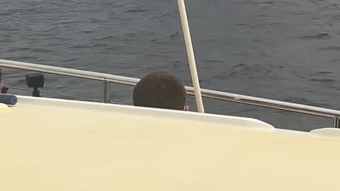 Lanai Snorkel Trip - Humpback Whale Pec Slap