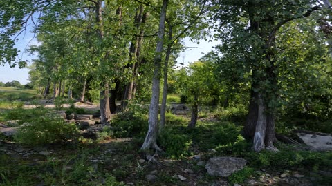 🍁 Ottawa River Pathway Trails #14 Part 1 🌳🌴