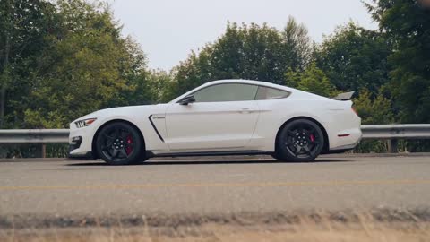 Boys Trip | AMG GTR, Supra, GT350, Holden [4K]-8