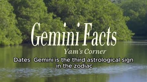 Gemini Facts