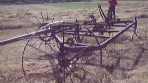 Vintage Hay Rake