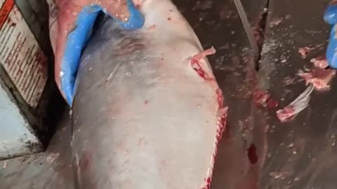 Amazing Fish Cutting Skills l Big Pangas Fish Cutti