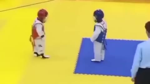 Cute Babies Karate Fight