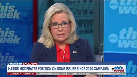 Liz Cheney has an opinion on President Trump...