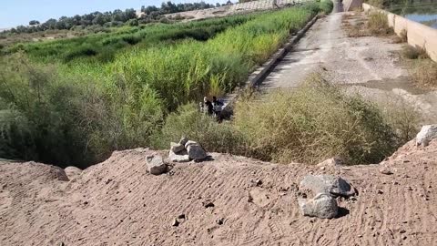 Illegals entering the US through the Yuma, AZ sector.