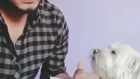 Watch how the dog helps a girlfriend