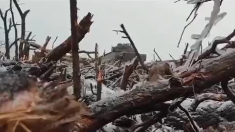 Footage of a Ukrainian Bradley Firing on Russians on the Front Lines