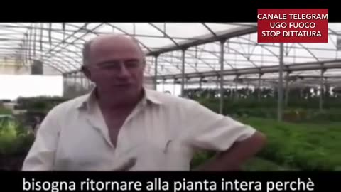 🔴💣PIANTE PROIBITE, TUTTE LE PIANTE CAPACI DI CURARE QUALSIASI PATOLOGIA..