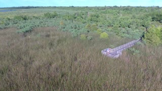 Bayou Sauvage Wildlife Refuge_3