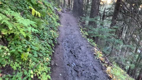 Oregon – Mount Hood – Hiking the Muddy Trail descending to Zig Zag River – 4K