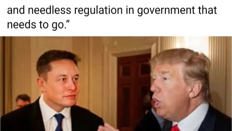 Trump wants Elon Musk for government Auditor