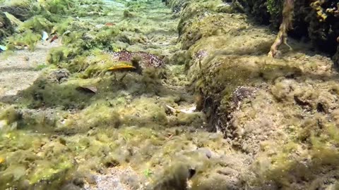 Japan crystal clear water