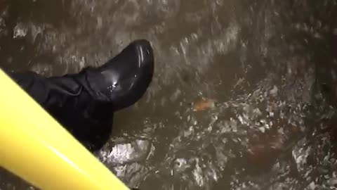 Metro Bus Floods in Houston