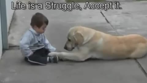 Jim Stenson's video of a cute mother dog playing with a young DS user is below.