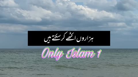 Allah the creator of all things | Islamic Status