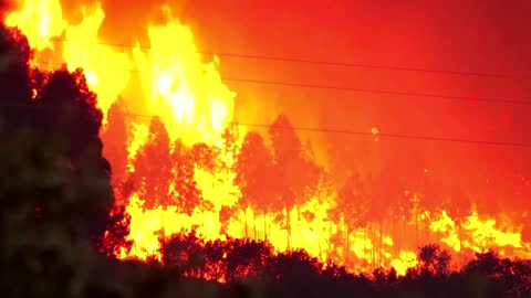 Hundreds of firefighters battle blaze near Lisbon