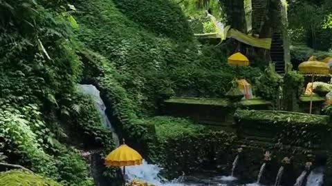 Holy spring in Bali