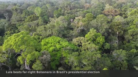 Lula wins Brazil’s presidential election, ousting incumbent Bolsonaro