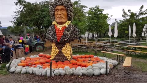 The World Heaviest Pumpkin - Swiss Pumpkin Championship - Schweizer Meisterschaf