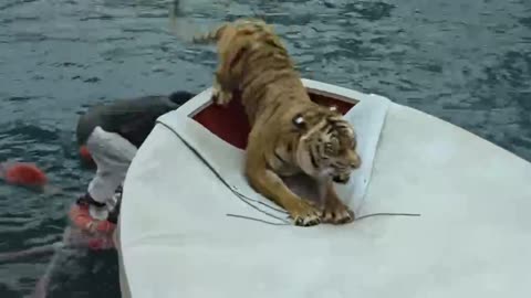 A young man and a tiger were drifting in a boat