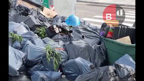 Desmantelado un edificio en El Prat convertido en una factoría de marihuana