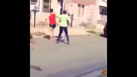 Women Fighting On The Street Shoot Each Other With A Dog