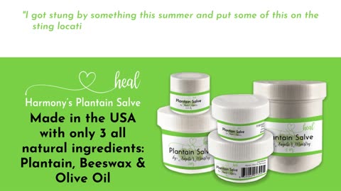 Harmony's Plantain Salve