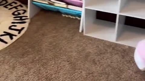 Toddler Finds a Shortcut to Cleaning Room