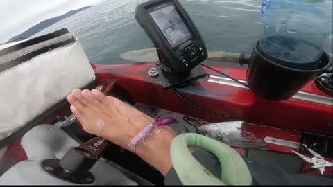 Fish Gets Payback on Kayak Angler