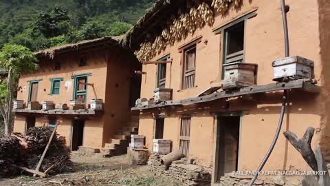 Beautiful Nepali Village Life