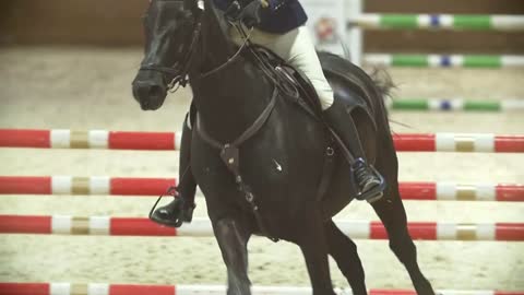 Equestrian rider on the ginger horse galloping at show jumping competition