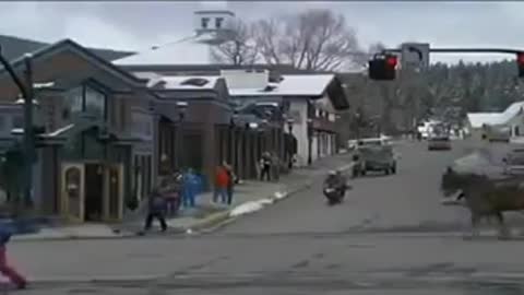 Dumb and dumber aspen scene