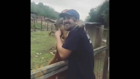 Animals That do not forget for years, Their Owner - Reuniting animals with their owners