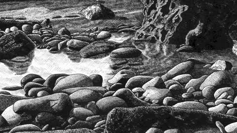 Cross-Hatching Demonstration: Tide Pools