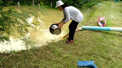 moving fish into new pond.