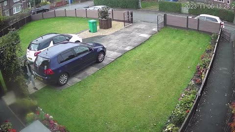 Dog Is Outsmarted By Owner