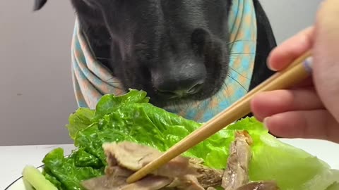 🦆🍗 Found Roast Duck for Dinner! So Delicious 🤤🐾 Zorro #ASMR