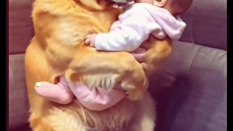 When_your_doggo_takes_care_of_the_baby_better_than_you.