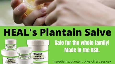 All-Natural Plantain Salve