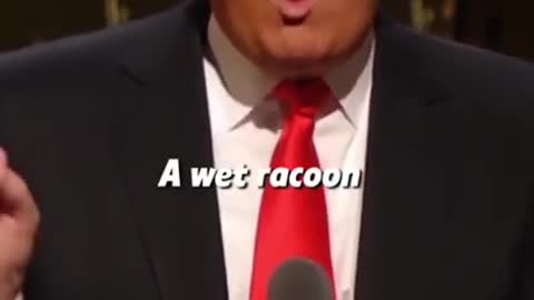 Difference Between a Wet Racoon & Donald Trump hair? $7 Billion