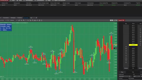 NINJATRADER ROBOT TRADES CRUDE OIL FUTURES