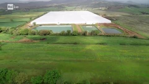 Serra idroponica DOCUMENTARIO RAI il successo che le serre idroponiche hanno avuto nei Paesi Bassi.Un Paese dal quale l'Italia importa migliaia di tonnellate di pomodori e peperoni ogni anno. questa cosa si può fare solo con gli ortaggi ovviamente